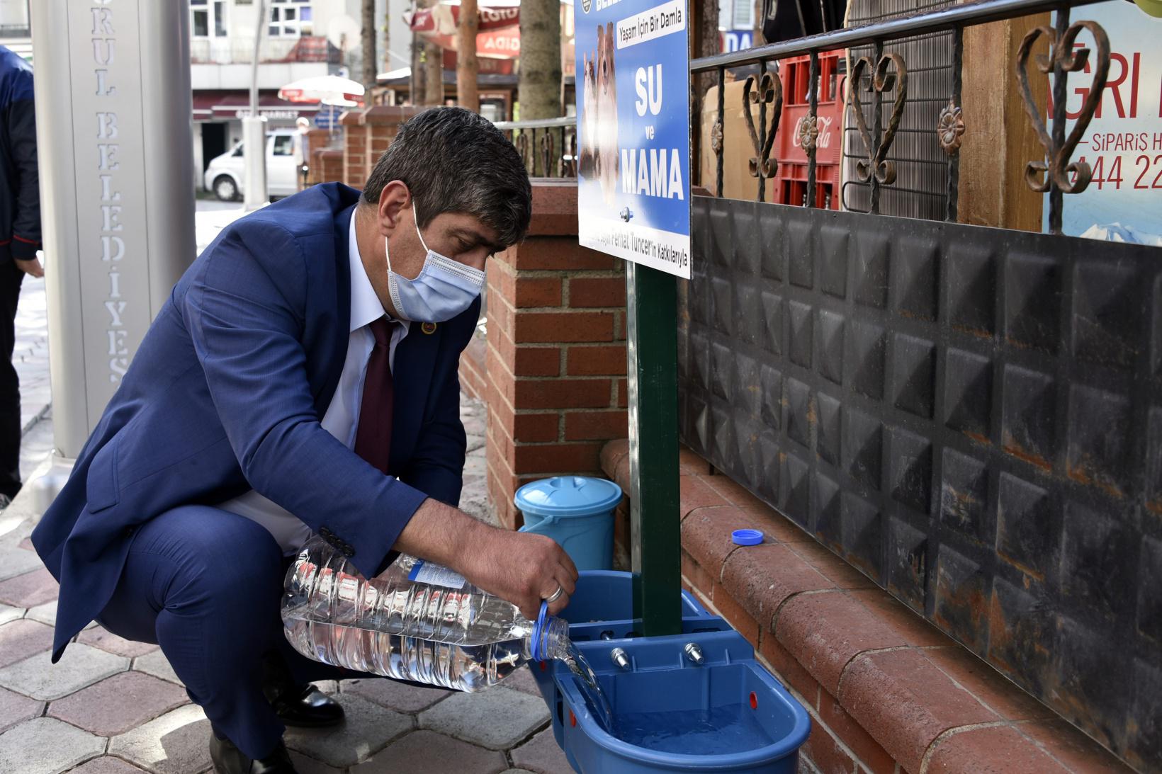 TORUL'DA BU KIŞ SOKAK HAYVANLARI AÇ KALMAYACAK